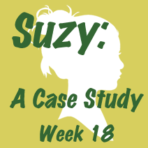 Suzy's Goals for her travel blog, Week 18 - Understand site statistics